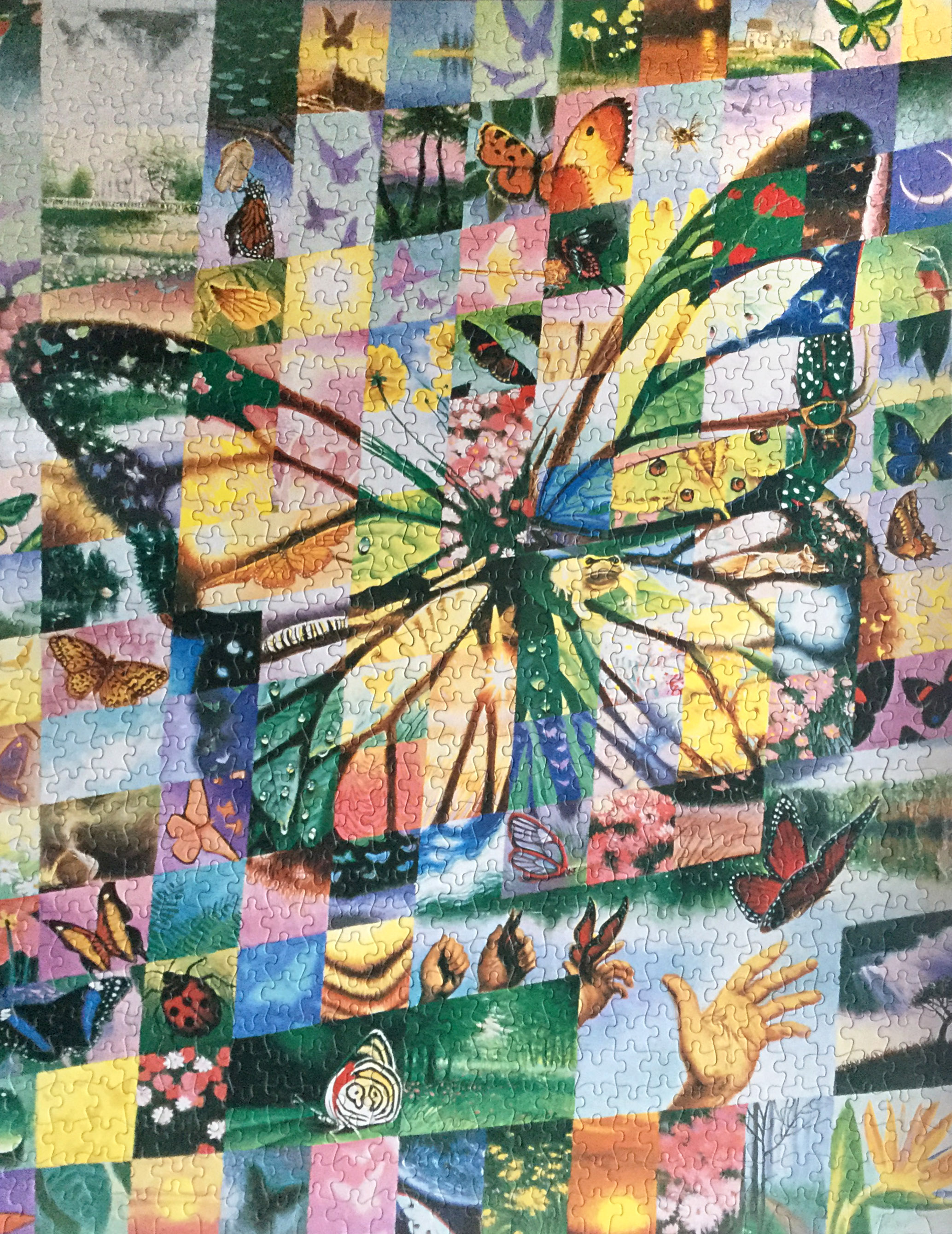 Butterfly collage