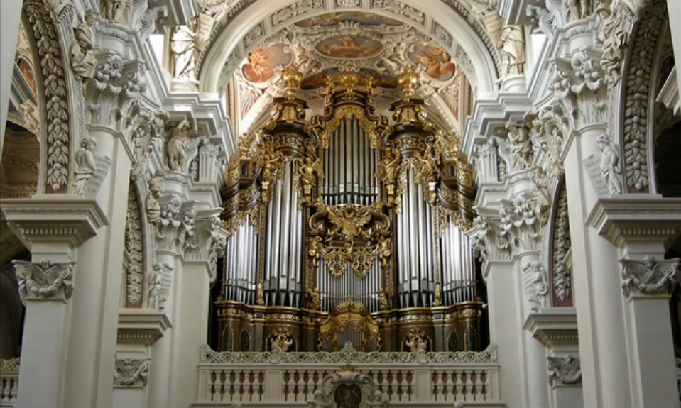 Organ